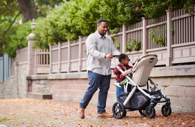 Piggyback for Vista and Vista V2 Stroller by UPPAbaby Gear UPPAbaby   