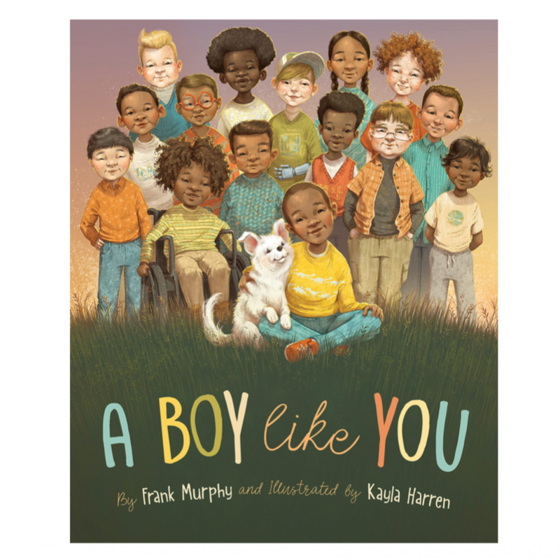 A Boy Like You - Hardcover Books Sleeping Bear Press   