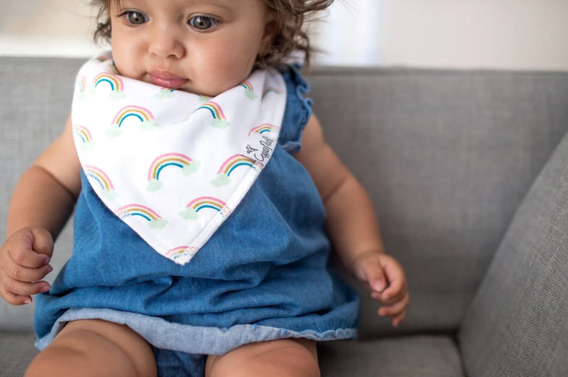 Single Bandana Bib - Whimsy by Copper Pearl