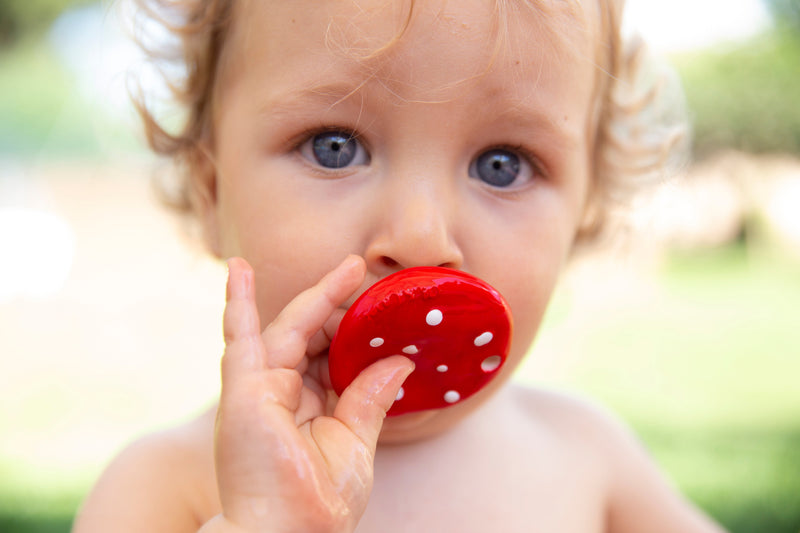 Spotty the Mushroom Mini Teether by Oli & Carol