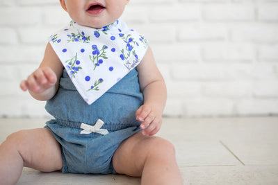 Single Bandana Bib - Georgia by Copper Pearl