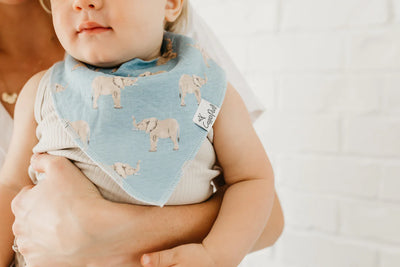 Single Bandana Bib - Peanut by Copper Pearl