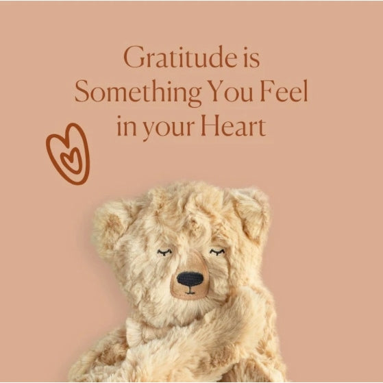 Honey Bear Snuggler - Gratitude by Slumberkins Books Slumberkins   