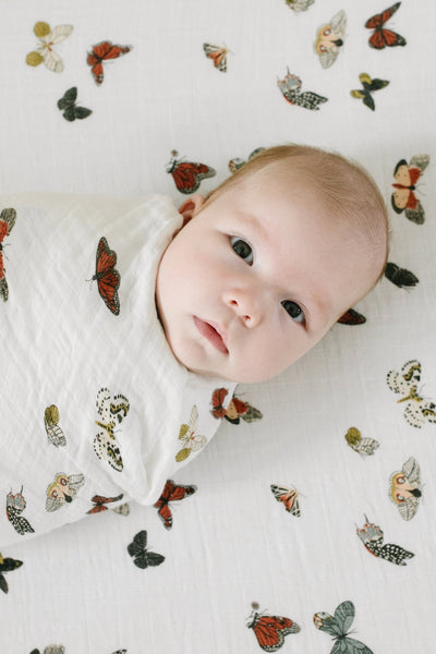 Cotton Muslin Crib Sheet - Butterfly Migration by Clementine Kids Bedding Clementine Kids   