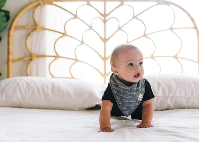 Single Bandana Bib - Baja by Copper Pearl