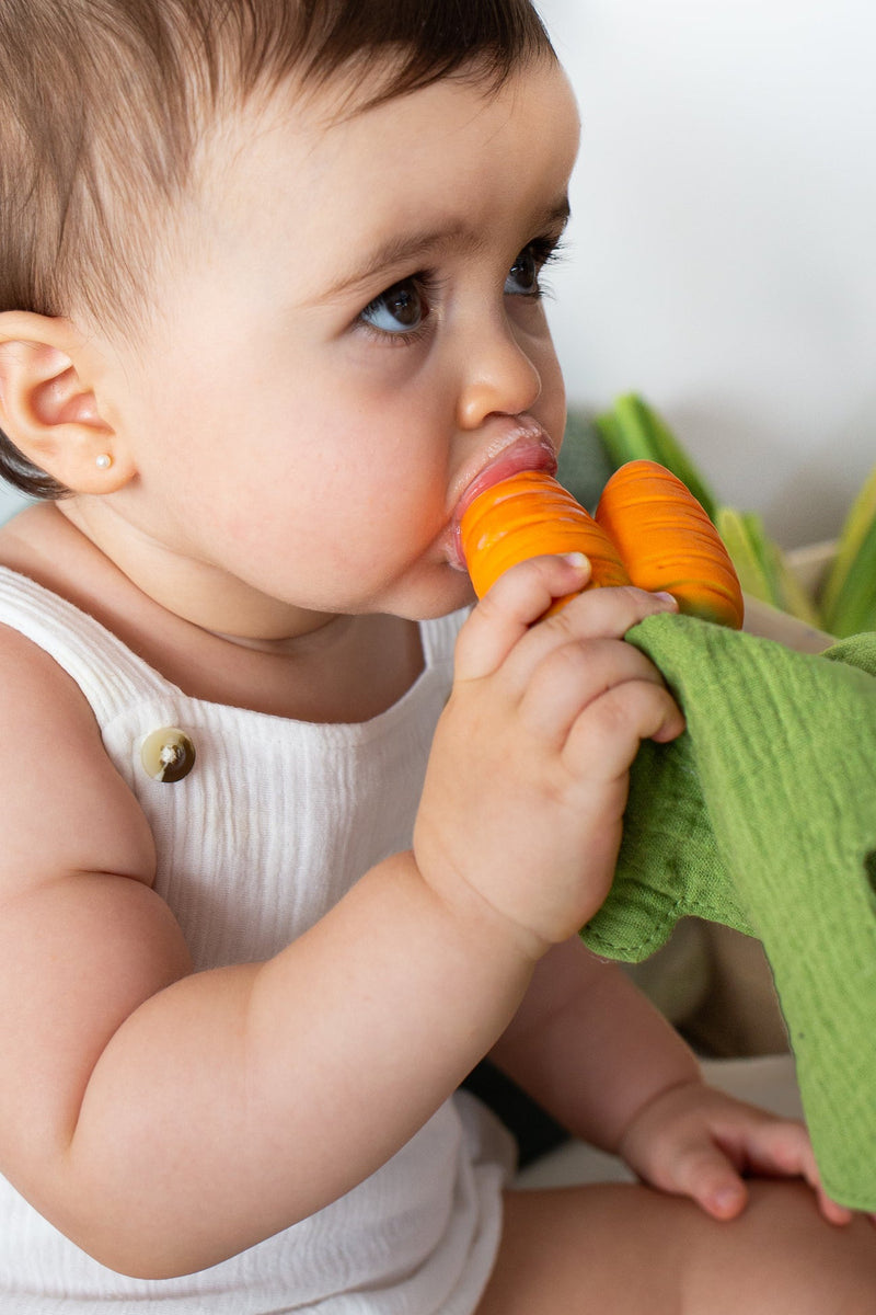 Cathy the Carrot Mini DouDou Teether by Oli & Carol