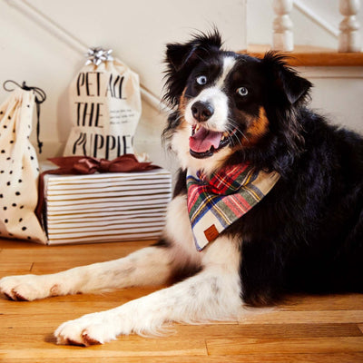 Regent Plaid Flannel Bandana by The Foggy Dog Pets The Foggy Dog   