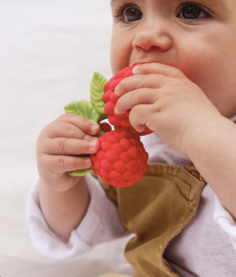 Valery the Raspberry Teether by Oli & Carol Toys Oli & Carol   