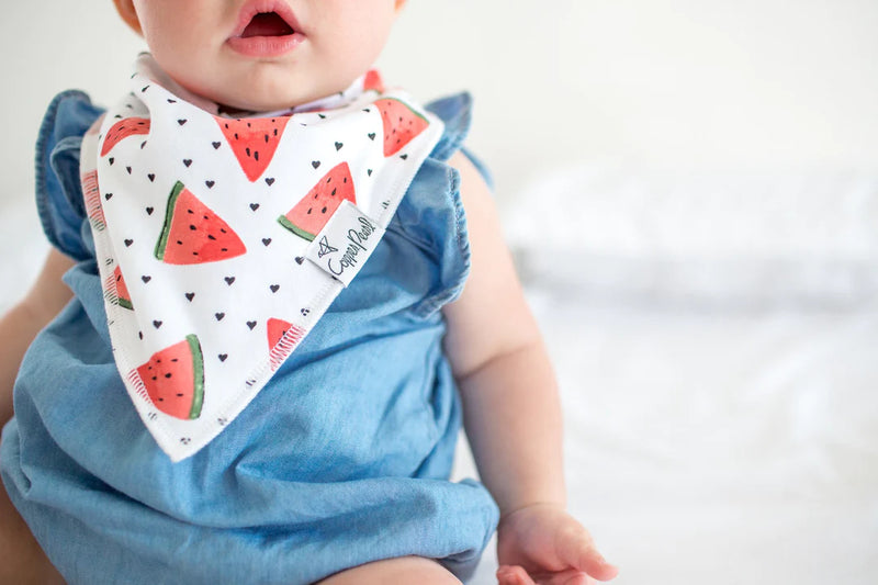 Single Bandana Bib - Georgia by Copper Pearl